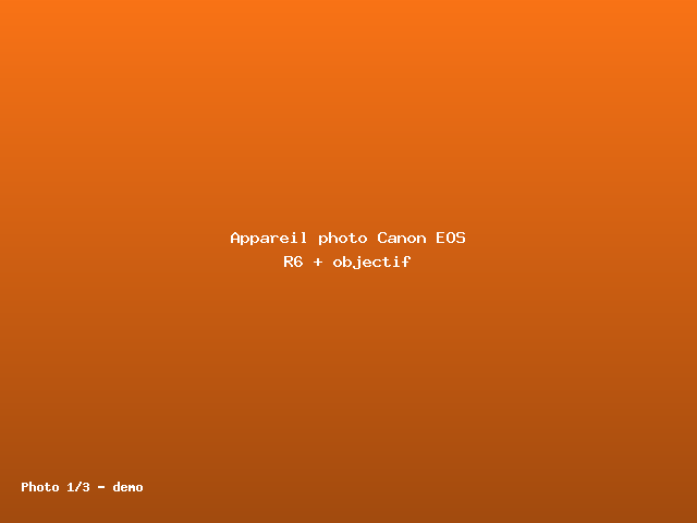 Appareil photo Canon EOS R6 + objectif